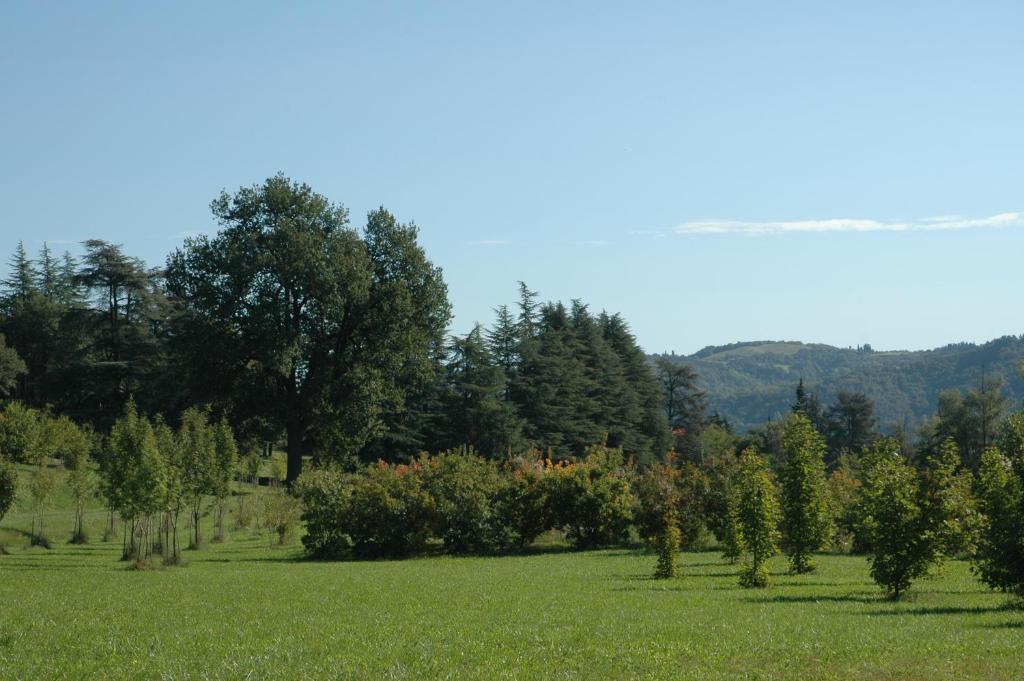 Triple Room,1229640737:JPEG